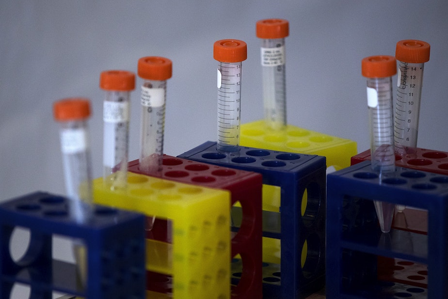 caption: Containers containing liquid called 'media' that the coronavirus test swabs are placed in are shown on Wednesday, April 29, 2020, at Fred Hutch in Seattle. First responders with the Seattle Fire Department who either hadn't tested positive for the coronavirus, or had never been tested at all, participated in the Seattle Covid Cohort Study and were tested for the virus as well as for antibodies.